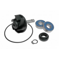 Ремкомплект помпы RMS для scooter Minarelli - Yamaha 50 2t  Water pump repair kit  100110010