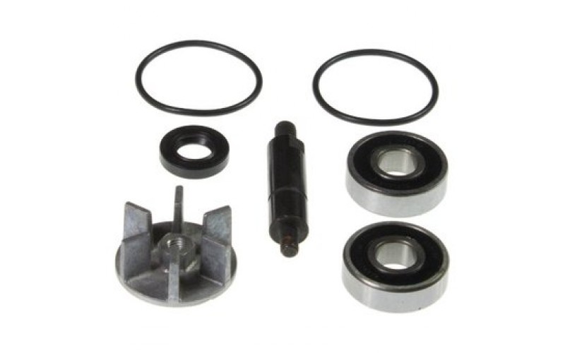 Ремкомплект помпы RMS для scooter Derbi Predator 50 2t, Water pump repair kit 100110240