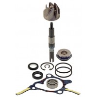 Ремкомплект помпы RMS для scooter Honda FES 250, Water Pump Repair Kit 100110310