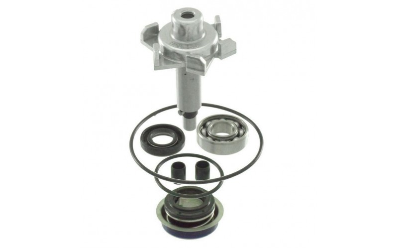 Ремкомплект помпы RMS для scooter Honda PCX 125/150 4t, Water pump repair kit 100110510 (19200-KWN-901)