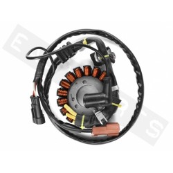 Генератор TNT Piaggio-Master 400-500 (without pick-up), Stator Assy   180311A