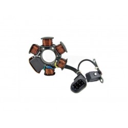 Генератор Novascoot для scooter Aprilia, Derbi, Gilera, Piaggio, Vespa 50 2t Stator Assy 19030023 (639865, 584525, 827849, 830296, AP8515105)