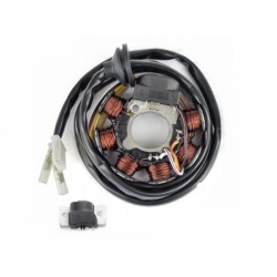 Генератор (статор) Novascoot для moto Aprilia, Yamaha-Minarelli 50, Stator Assy 19030034 (3KJ-85560-00-00, 2JA-81403-M0-00, 3VP-81403-00-00, 4SB-85560-00-00)