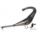 Труба выхлопная Giannelli для Aprilia RS4 50 '11, Exhaust 33036HF