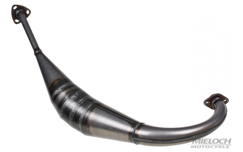 Труба выхлопная Giannelli для Aprilia RS4 50 '11, Exhaust 33036HF