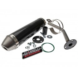 Глушитель трубы Giannelli для Aprilia RX50, Carbon fibre silencer 34629HF