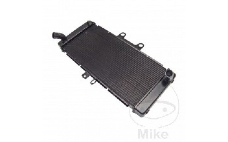 Радиатор для Suzuki GSF 1250, Suzuki GSX 650, RADIATOR 425-2503