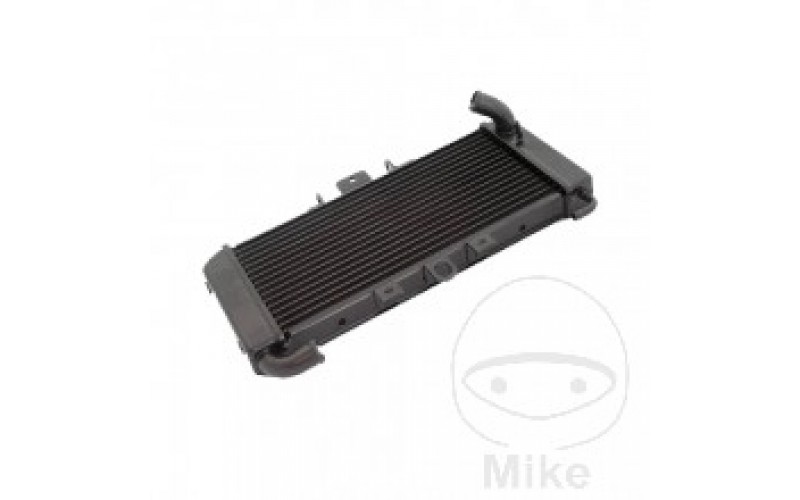 Радиатор для Yamaha FZS 600, RADIATOR 425-3263