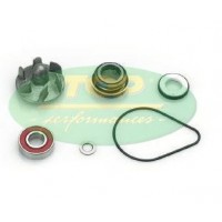 Ремкомплект помпы Top Performances для scooter Honda Pantheon 125-150 2t, WATER PUMP SHAFT ASSY AA00812 (19215-KFF-900)