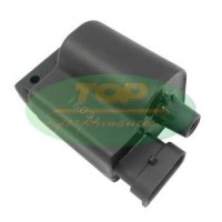 Коммутатор TOP Performances для Aprilia, Derbi, Piaggio, Vespa 50-100, Ignition Coil with CDI CA00008 (6399786, 638877, 639978, 6399785, 969383, 9693835, AP8224487)