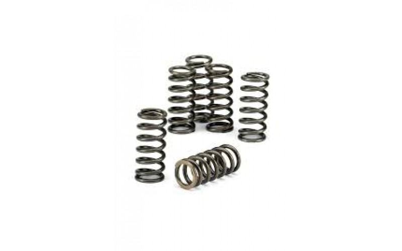 Пружины сцепление  EBC для Yamaha XP 500 T-Max, Clutch Spring Kit CSK189