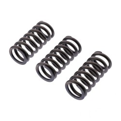 Пружины сцепления EBC для BMW R 1200, Clutch Spring Kit CSK264 (21218529447)