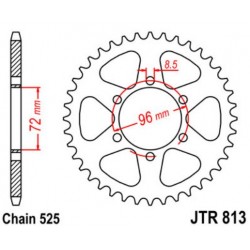 JT звезда задняя JTR813