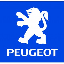 Оригинальные запчасти для Peugeot для мотоциклов, скутеров, квадроциклов Peugeot