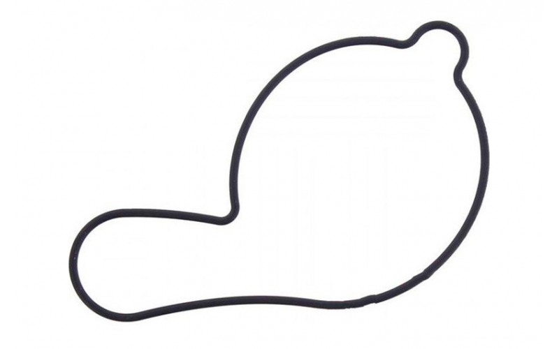 Прокладка крышки помпы Athena для Yamaha YZ 450 F, O-RING S410485024028 (5BE-12439-00-00, 5TG-12439-00-00, 734.20.91)