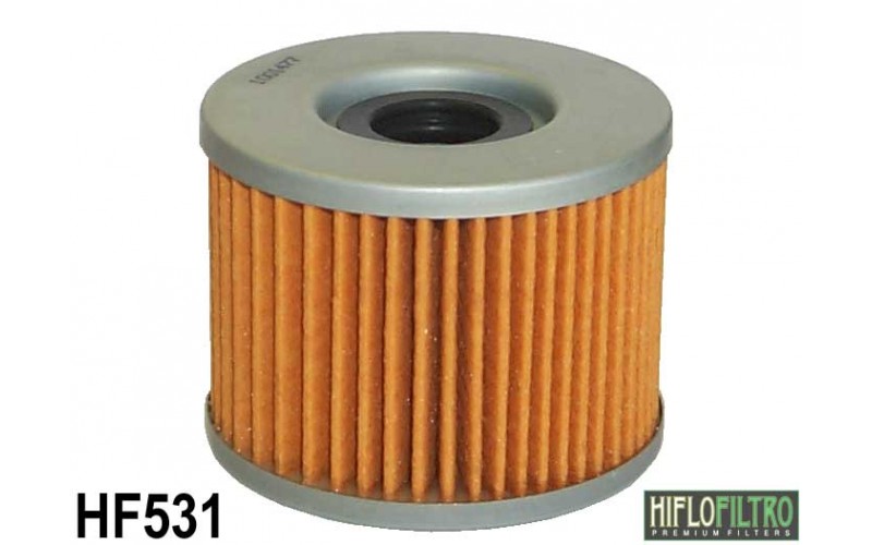 Фильтр масляный Hiflo для Suzuki GSX 250, oil filter HF531 (16510-06C00)