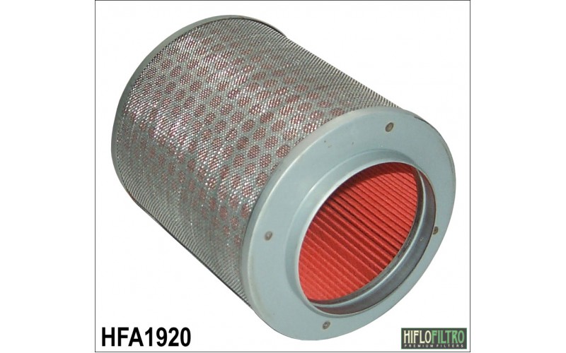 Фильтр воздушный Hiflo HFA1920, aire filter